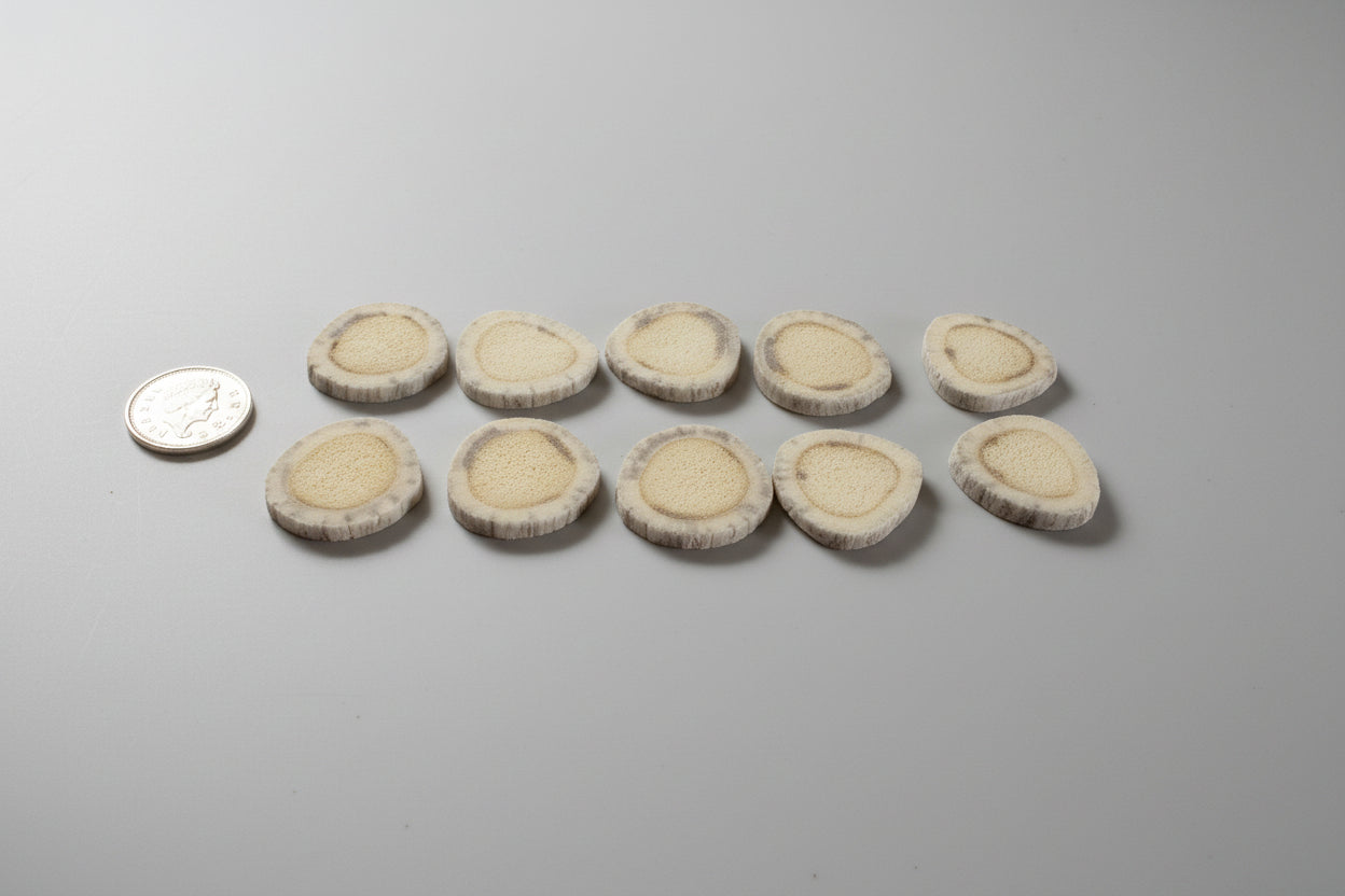 Side view of deer antler slices on a gray background
