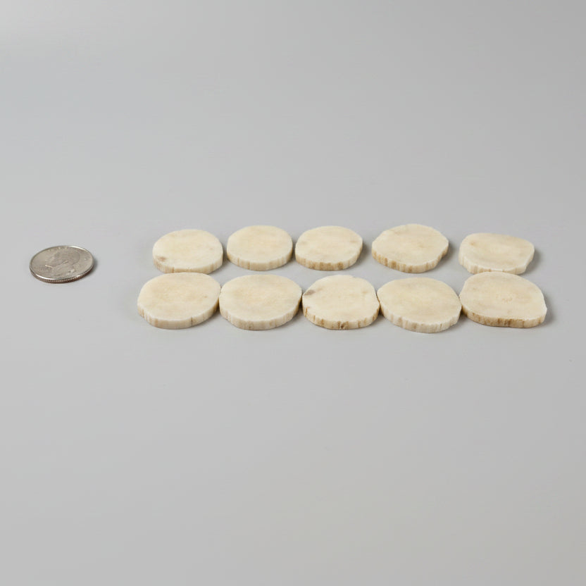 Moose antler slices on a gray background
