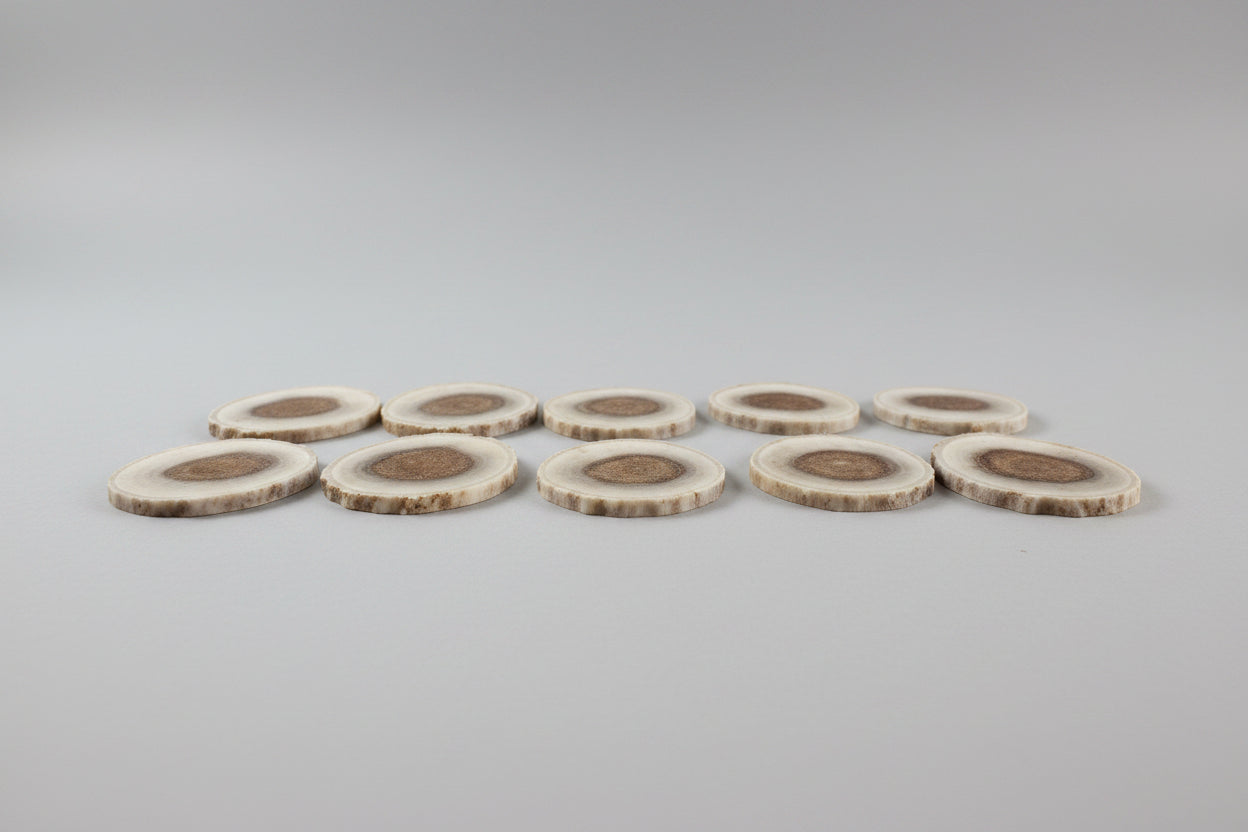 Elk antler slices on a gray background