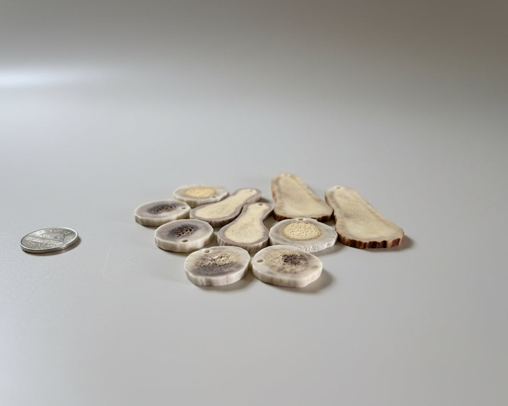 side view of mix antler slices with a small hold on a background