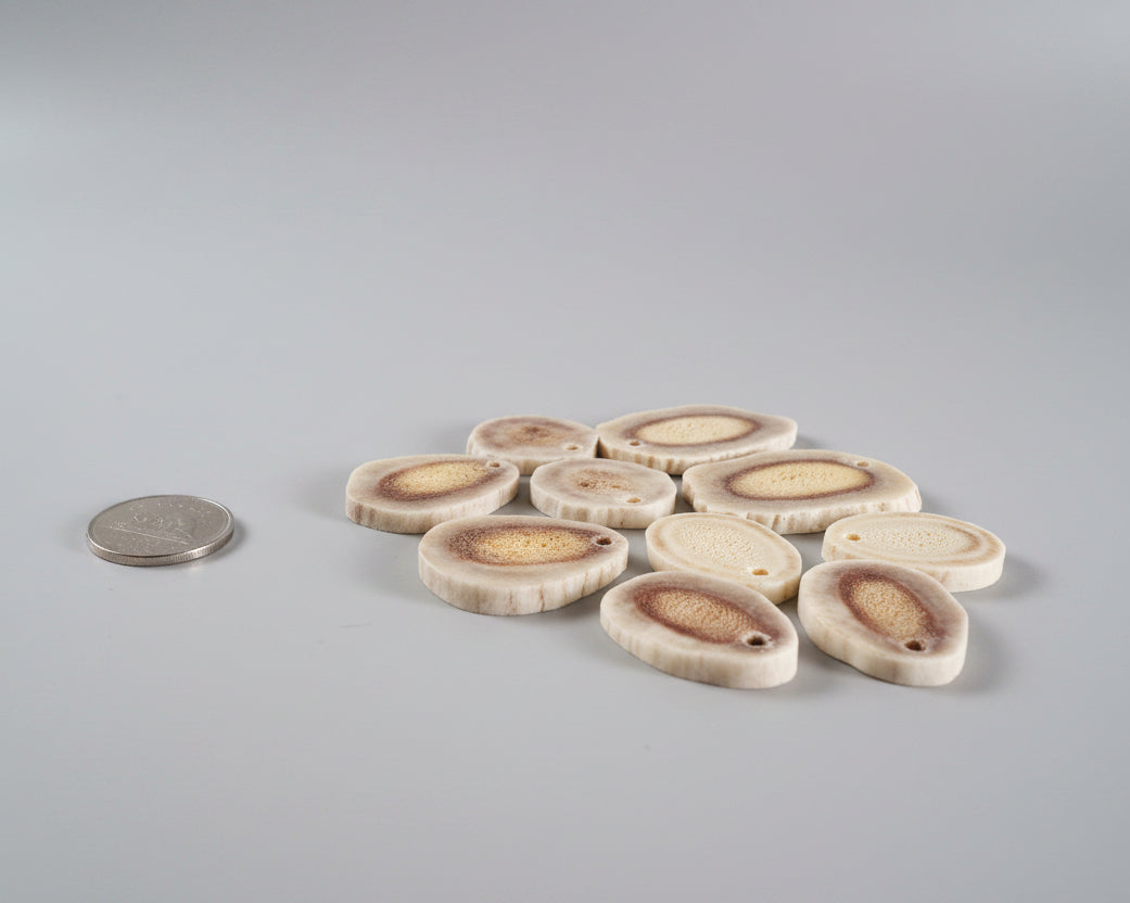 Side view of mix antler slices with a small hole on a gray backround