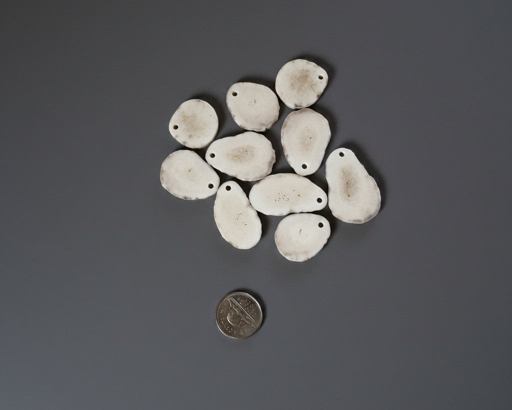 Moose antler slice with a hold on a gray background