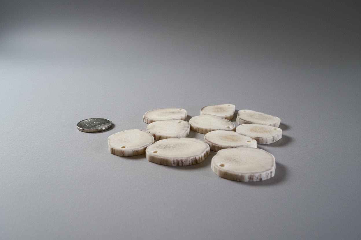 Side view of moose antler slice with a hold on a gray background