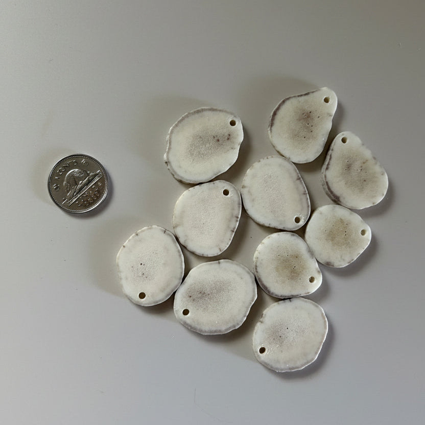 Moose antler slice with a small hold on a gray background