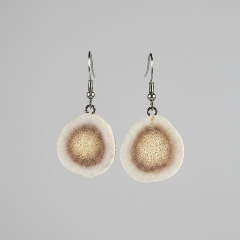 Natural deer antler earrings on a gray background