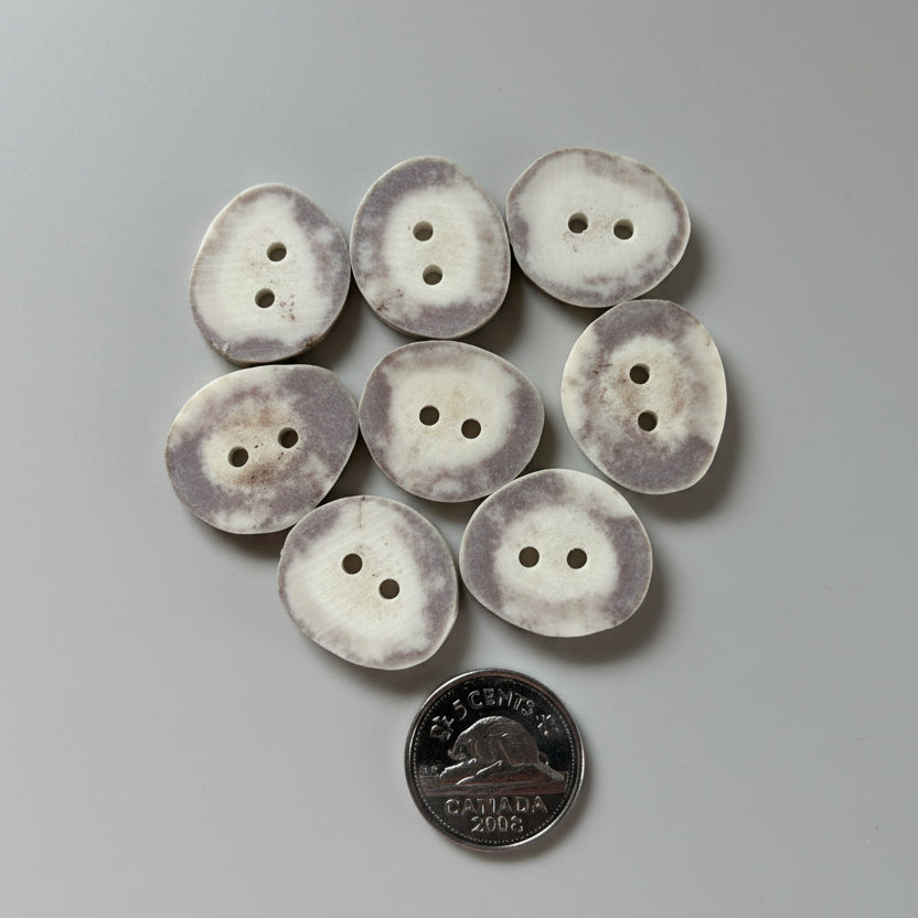 7 Deer antler buttons on a gray background