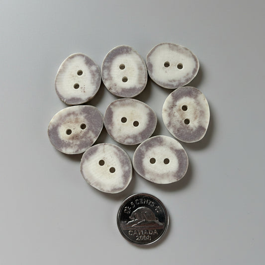 7 Deer antler buttons on a gray background