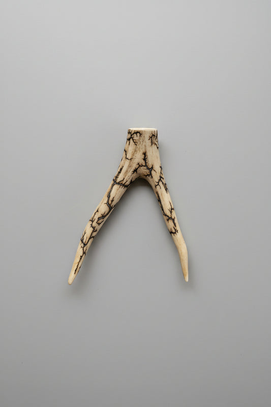 Deer antler tips feature a distinctive forked shape, with two prongs extending from a solid base