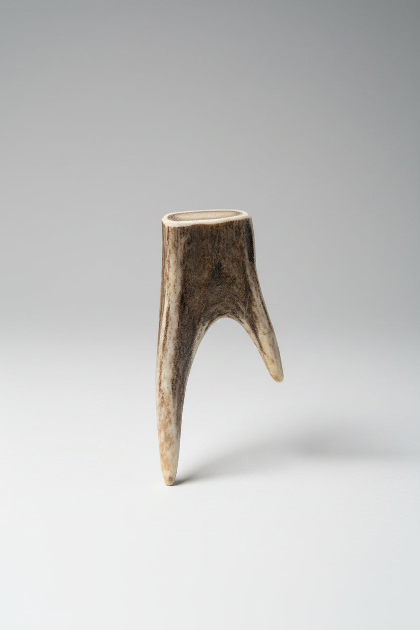 deer antler tips feature a distinctive forked shape, with two prongs extending from a solid base