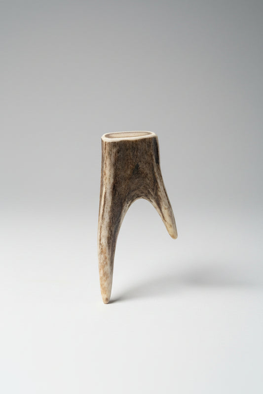 deer antler tips feature a distinctive forked shape, with two prongs extending from a solid base