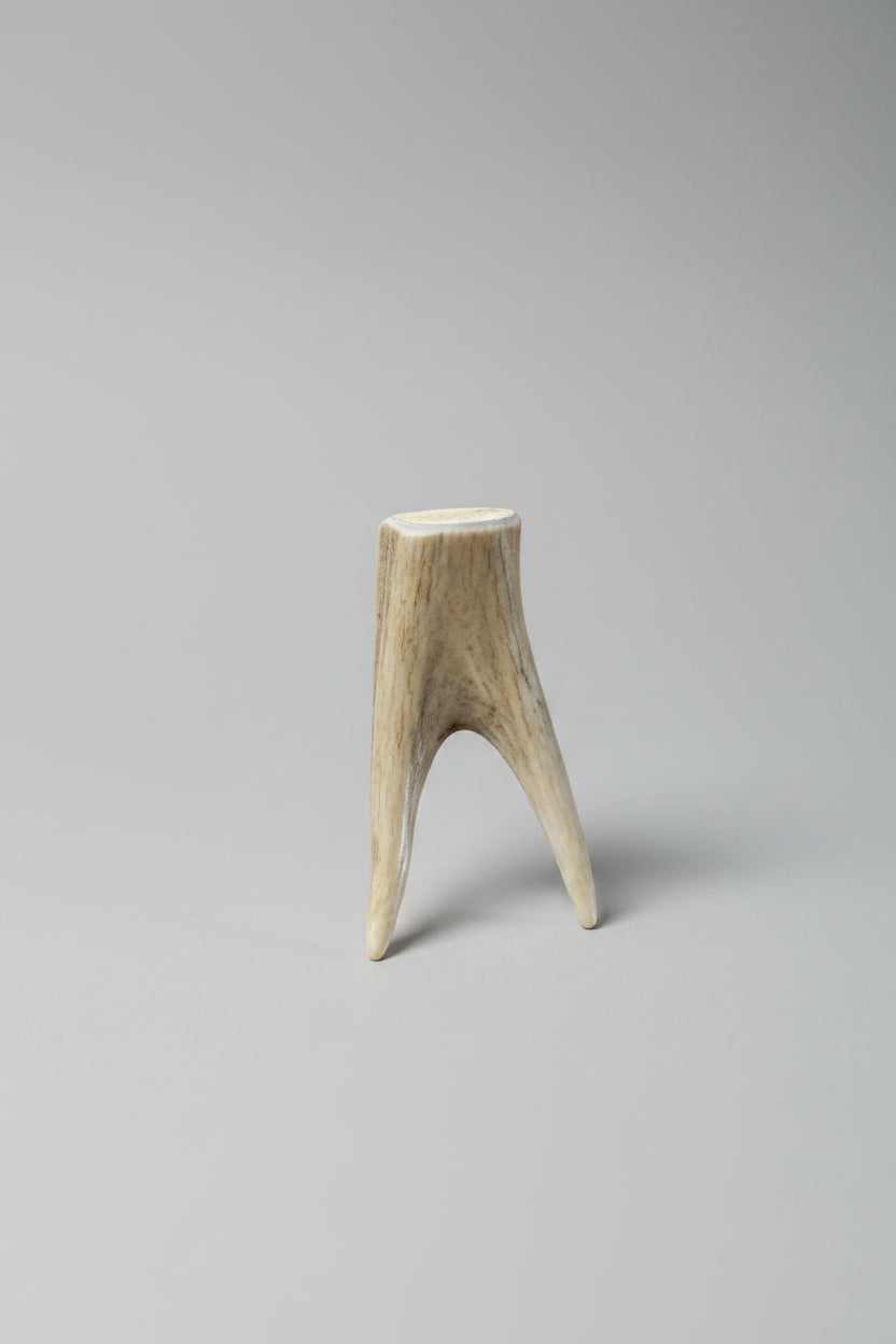 deer antler tips feature a distinctive forked shape, with two prongs extending from a solid base