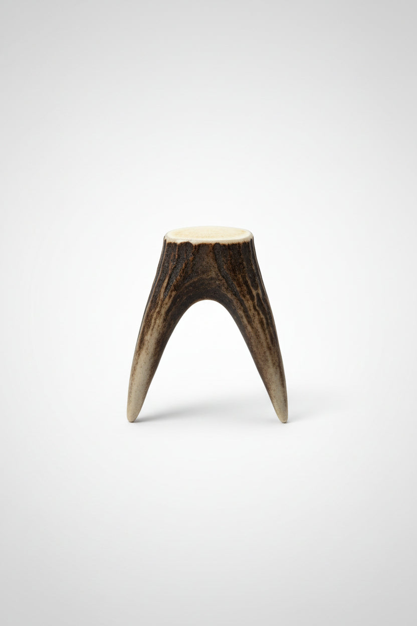deer antler tips feature a distinctive forked shape, with two prongs extending from a solid base