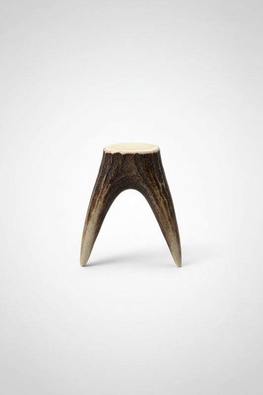deer antler tips feature a distinctive forked shape, with two prongs extending from a solid base