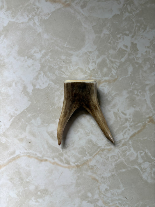 Forked Deer Antler piece 6.5 cm x 5 cm - Natural Deer Antler