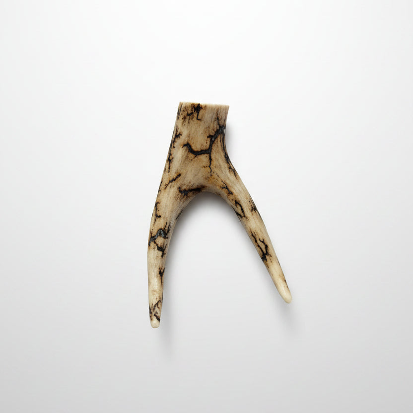 Decorative antler on a gray background