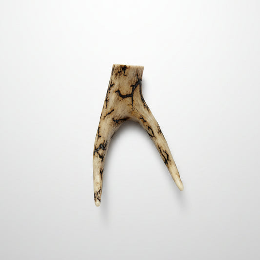 Decorative antler on a gray background