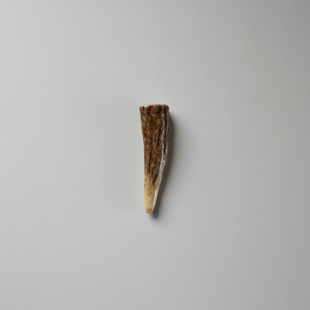 Deer Antler Tip 7.5 cm x 2 cm - Natural Deer Antler Piece