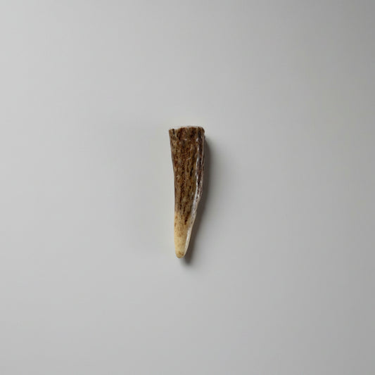 Deer Antler Tip 7.5 cm x 2 cm - Natural Deer Antler Piece