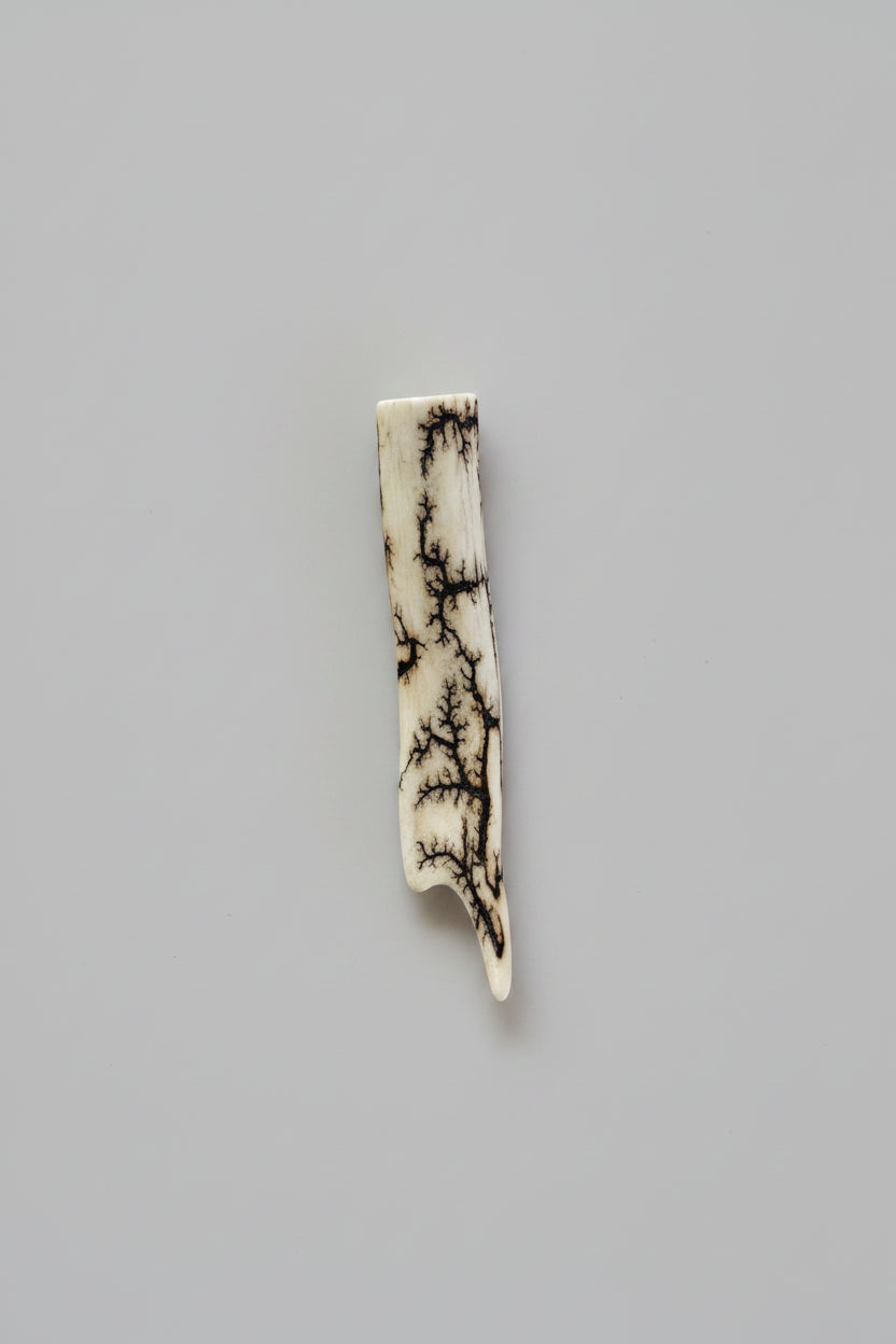Antler tip with strike on a gray background