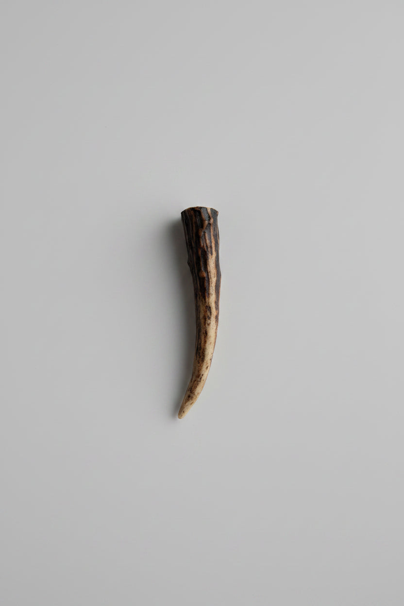 dark antler tip on a gray background