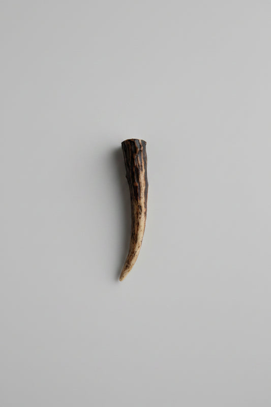 dark antler tip on a gray background