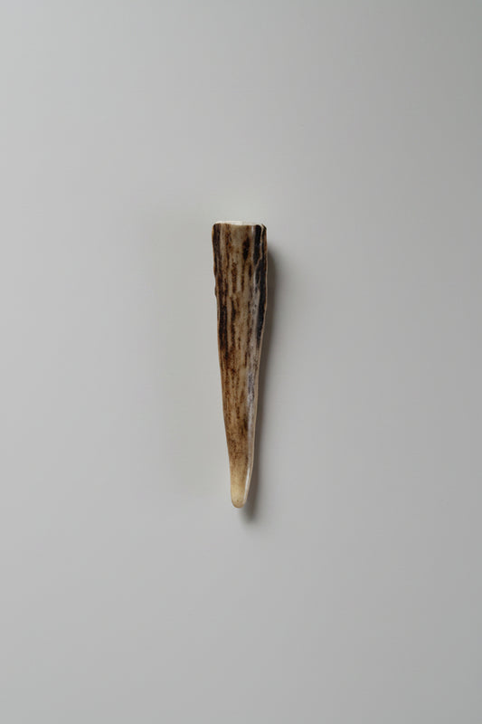 Antler tip on a gray background