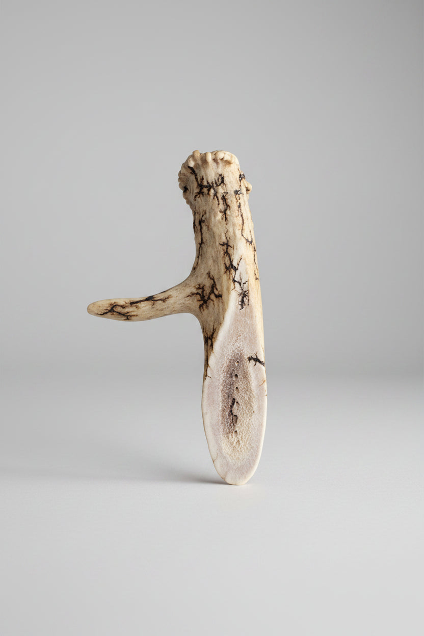 Natural deer antler aroma diffuser piece with black strikes on a gray background