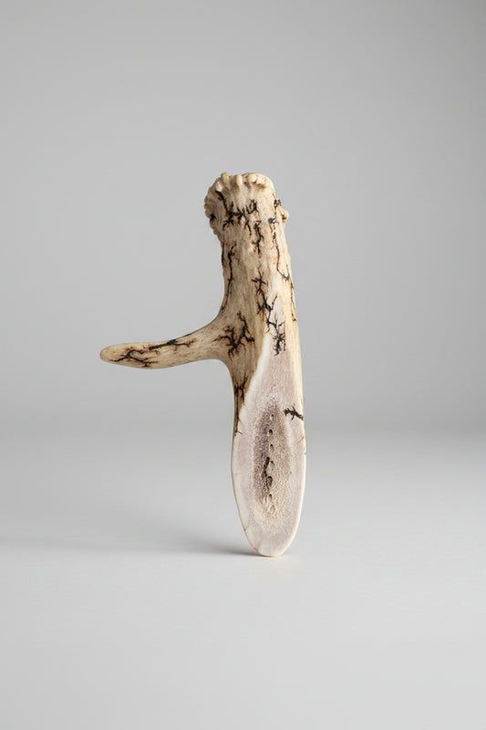 Natural deer antler aroma diffuser piece with black strikes on a gray background