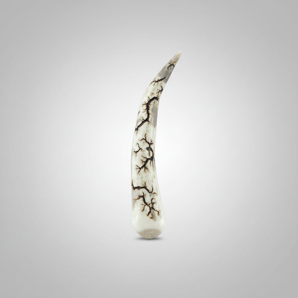side view of the Natural deer antler comfort tine polished and decorated with strikes on a gray background