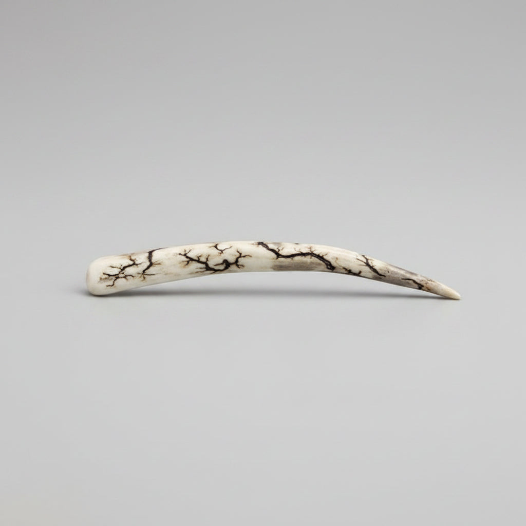 Natural deer antler comfort tine polished and decorated with strikes on a gray background