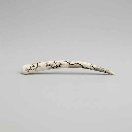Natural deer antler comfort tine polished and decorated with strikes on a gray background
