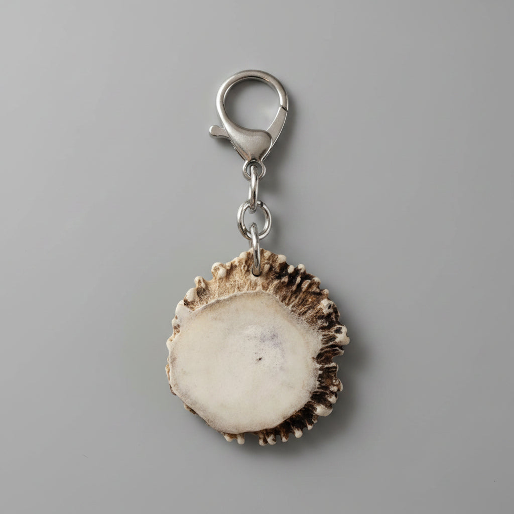 Back side of a deer antler keychain on  gray background