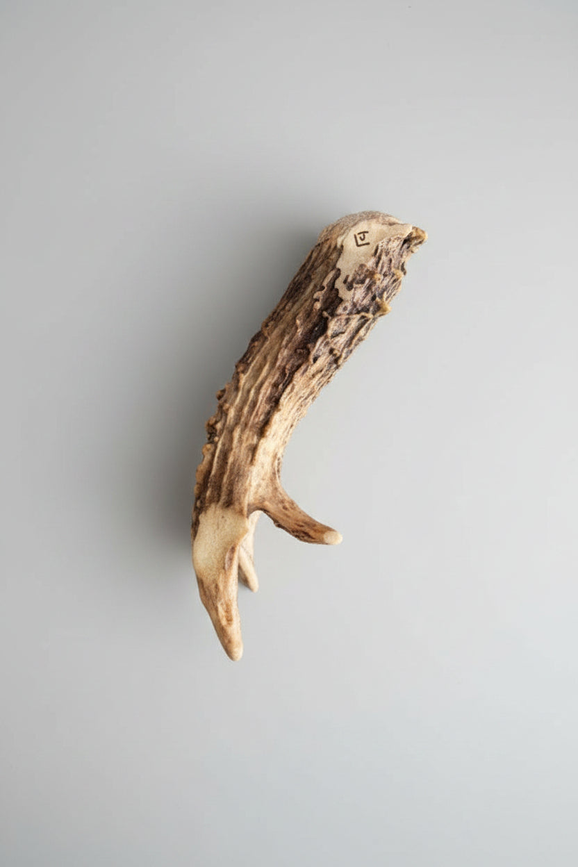 Bottom view of the Deer antler aroma diffuser piece on a gray background