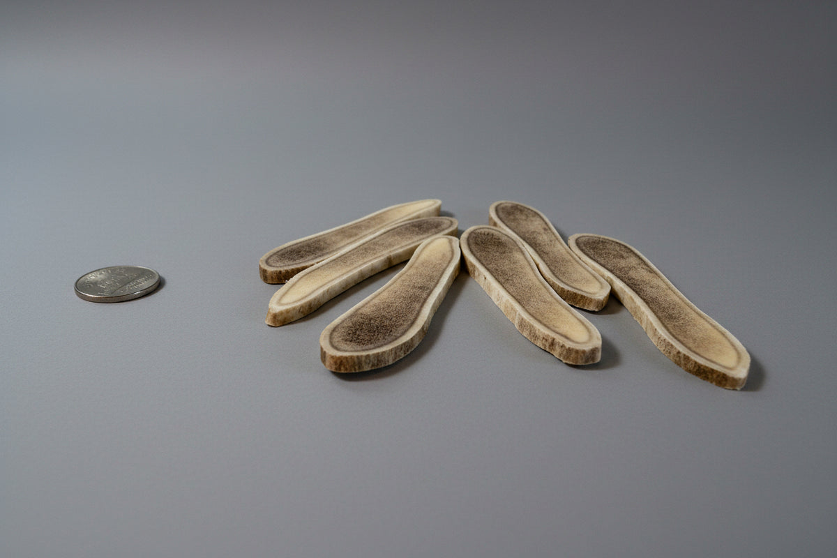 Craft Antler Slices Package Whole Large - Natural Shed Caribou Antler