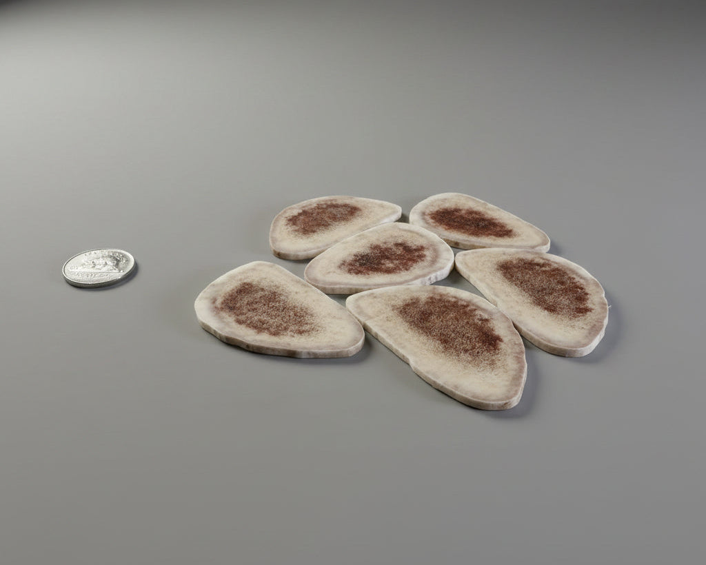Side view of caribou antler slices on a gray background