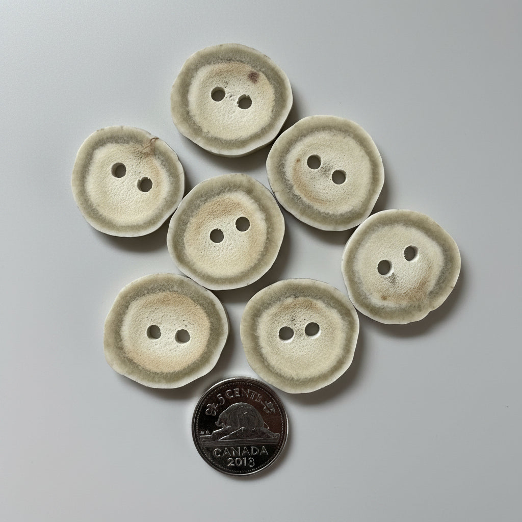 7 Deer antler buttons on a gray background