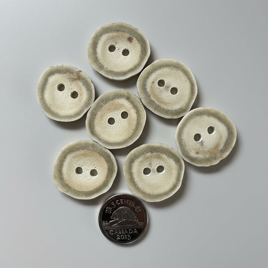 7 Deer antler buttons on a gray background