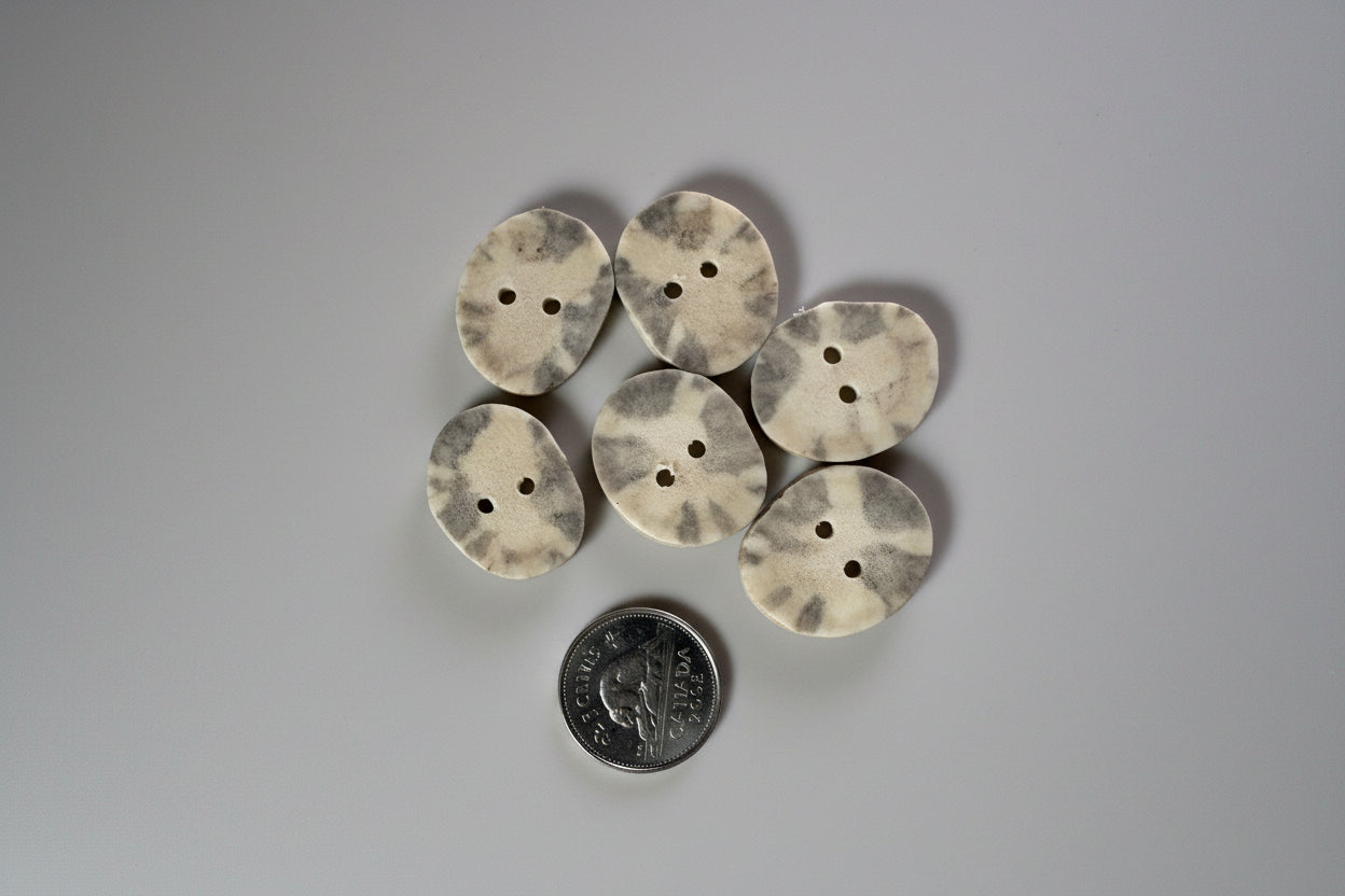 Moose antler buttons on a gray background