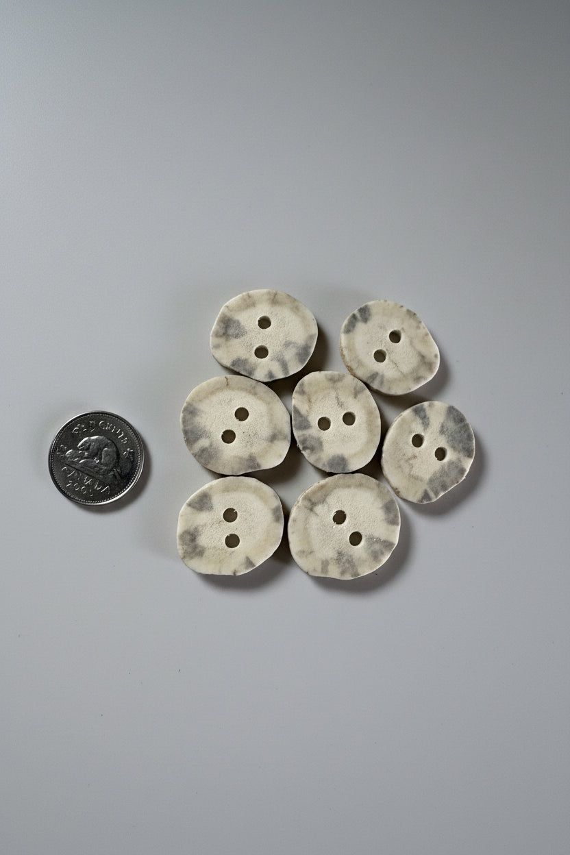 Moose antler buttons on a gray background
