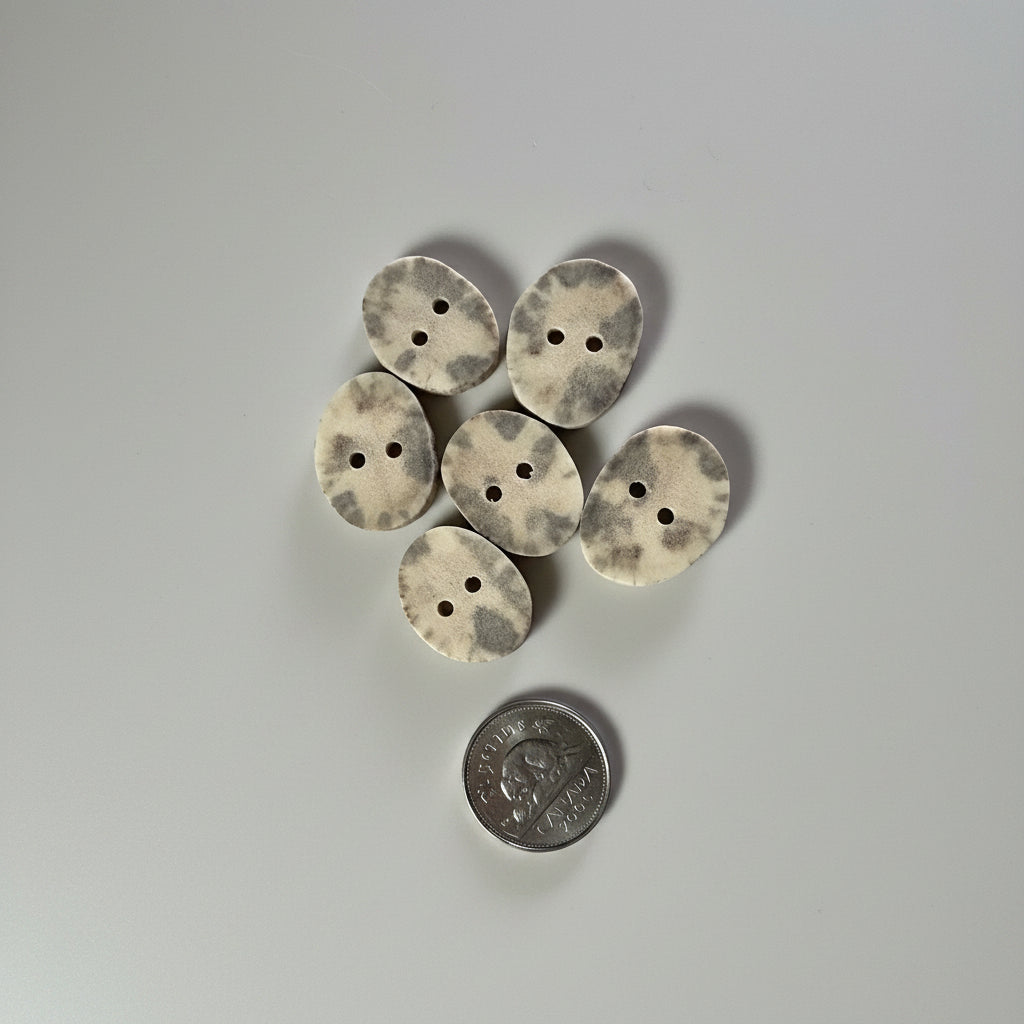 Moose antler buttons on a gray background
