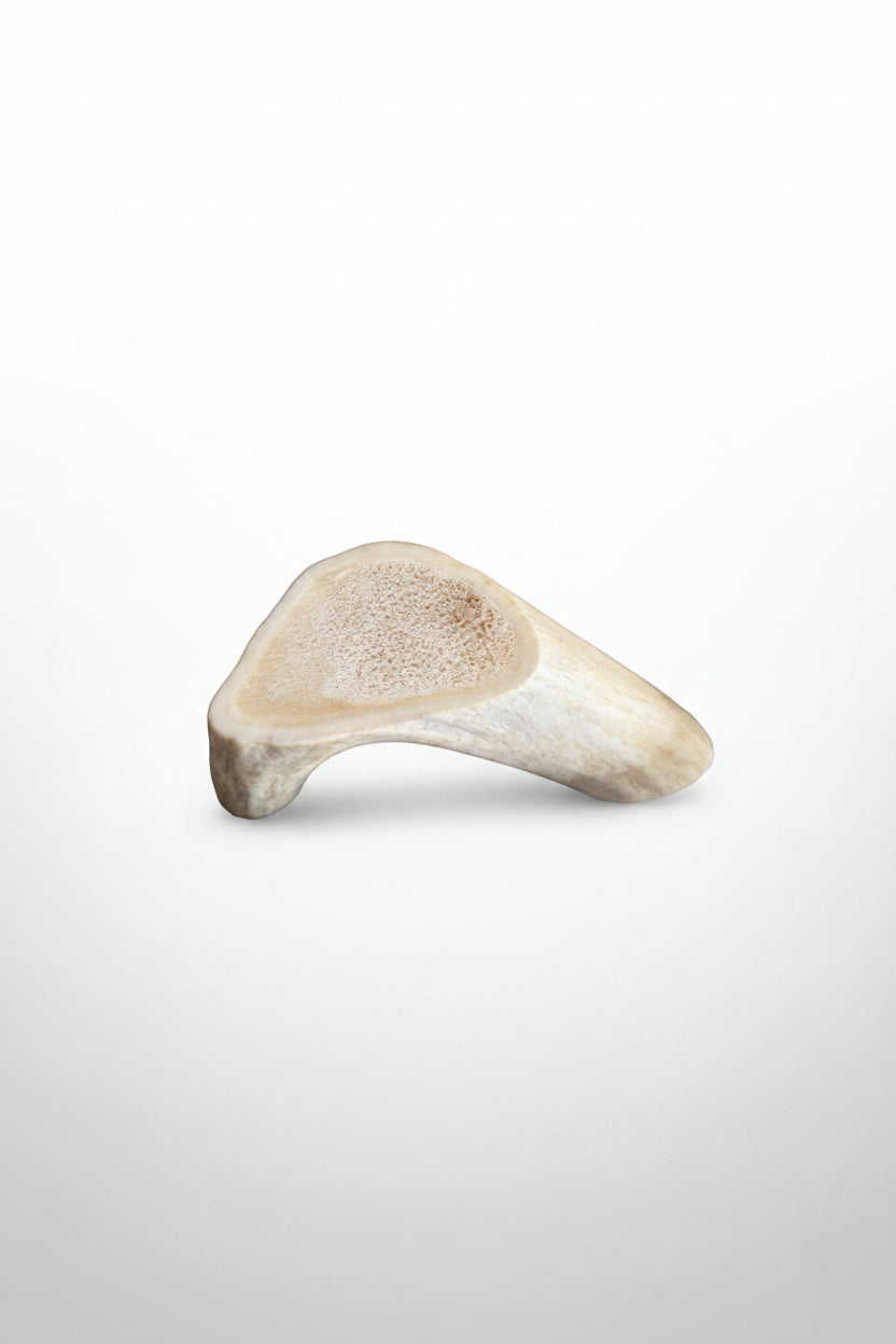 top view of the Deer antler aroma diffuser piece on a gray background