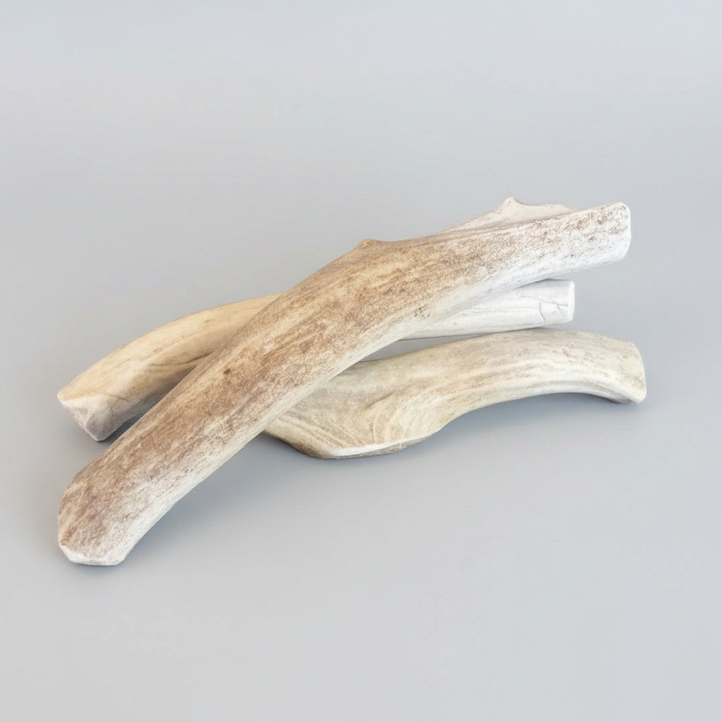 Deer antler dog chew