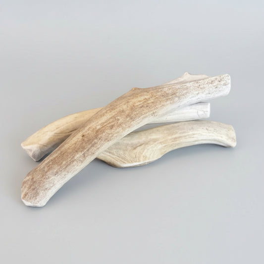 Deer antler dog chew