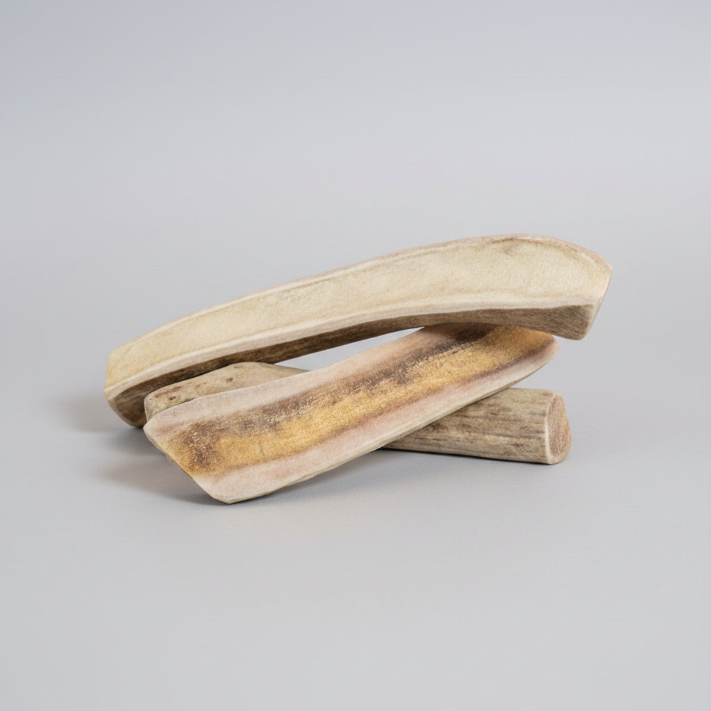 Deer Antler Dog Chew - Natural Shed Deer Antler