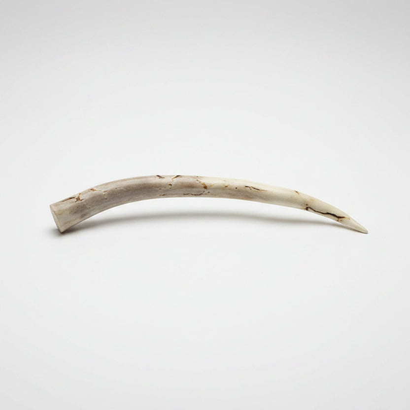 Deer antler hair pin with black strike on a gray background