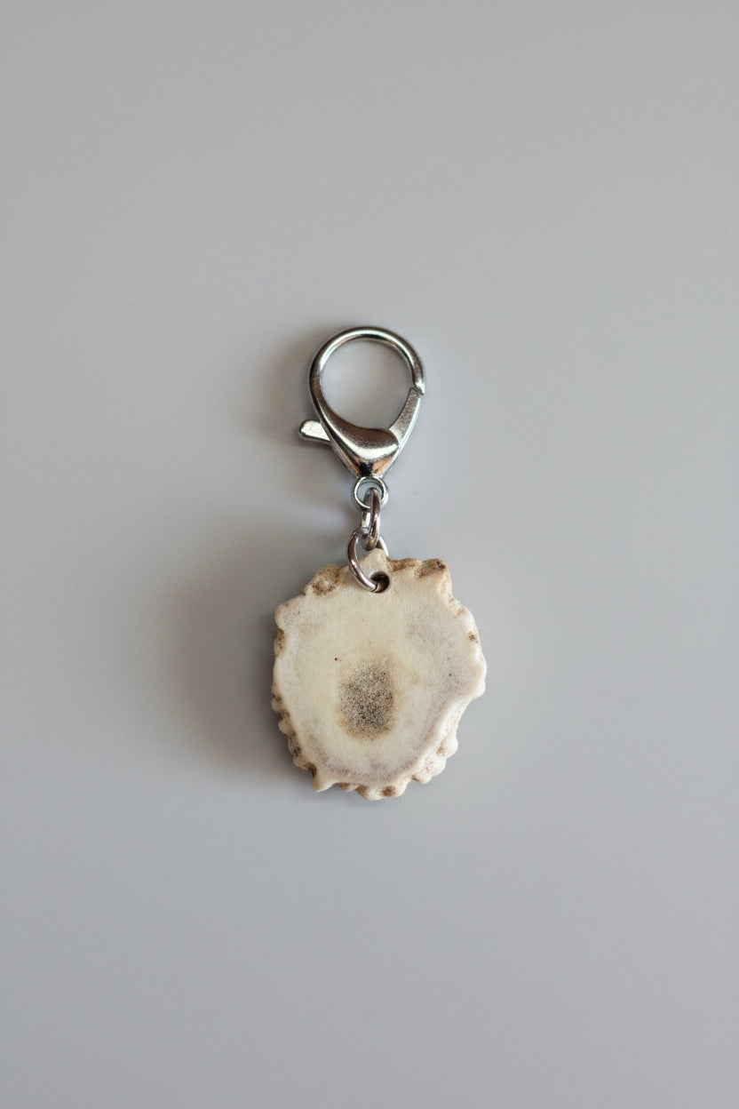 bottom view of a deer antler keychain on a gray background