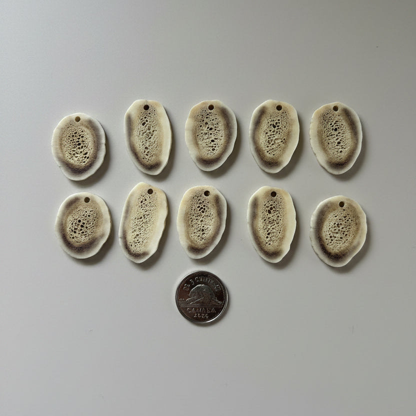 10 deer antler slices on a gray background