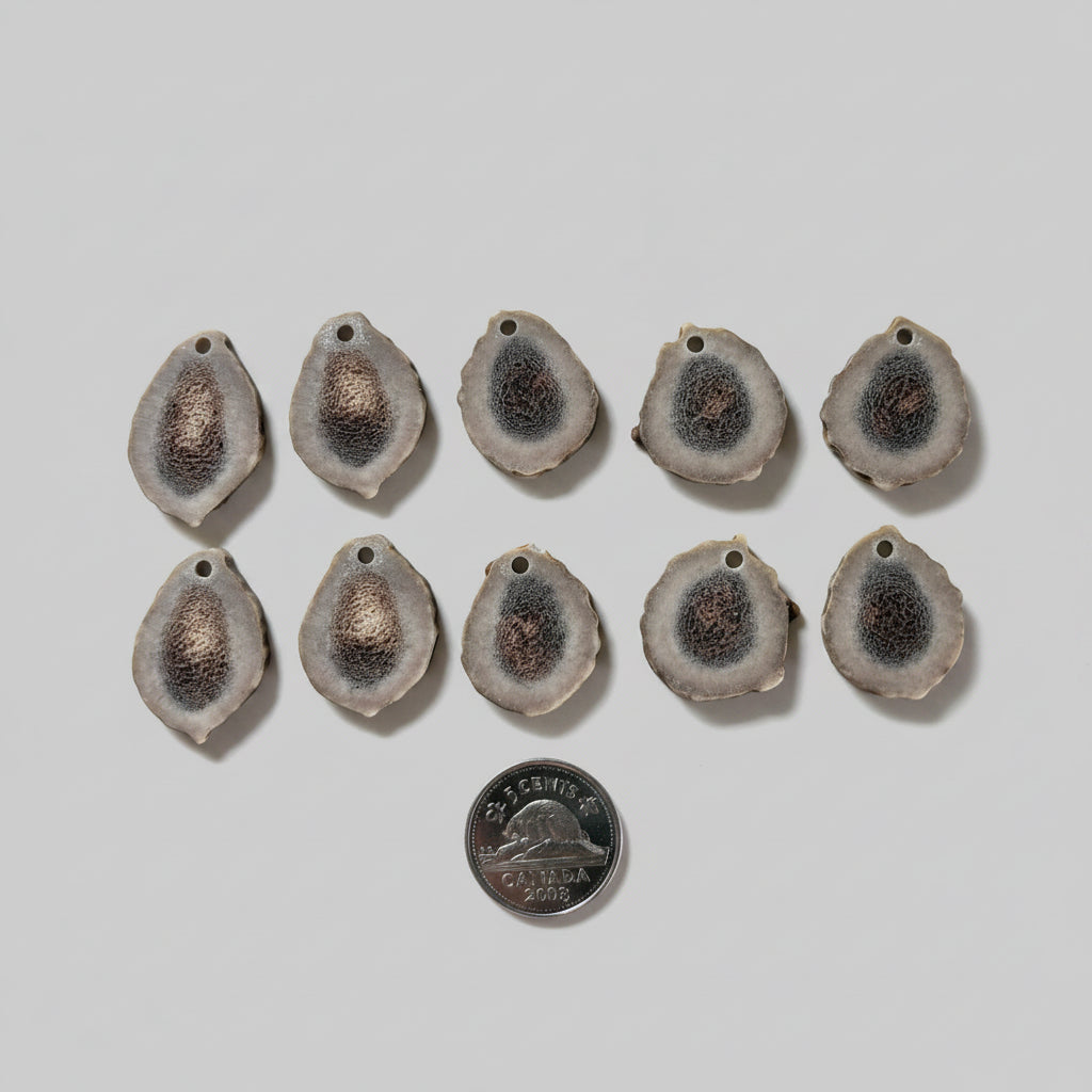 10 deer antler slices with a small hole on gray background