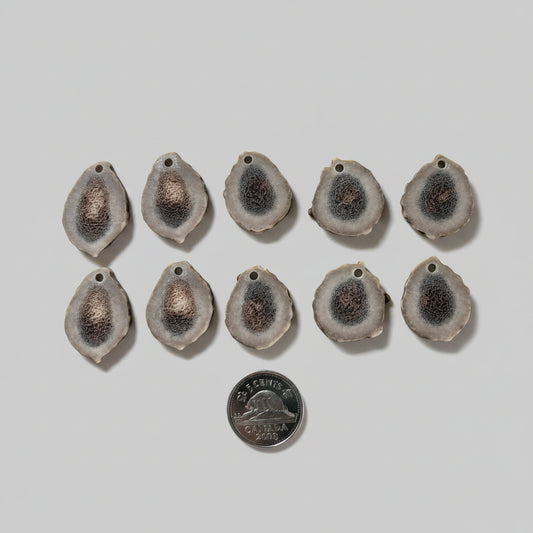 10 deer antler slices with a small hole on gray background