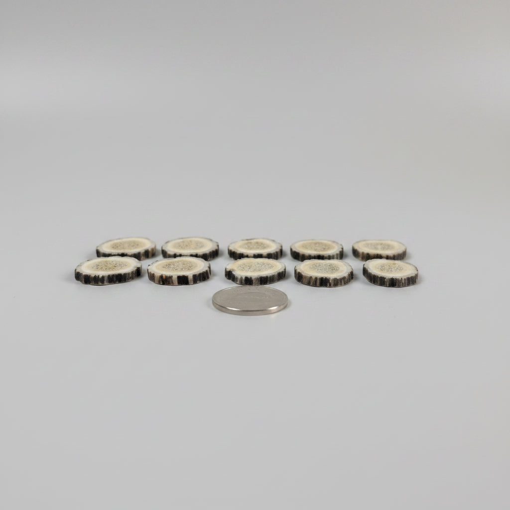 10 deer antler slices side view on a gray background
